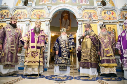 Митрополит Викентий: 65 лет со дня рождения
