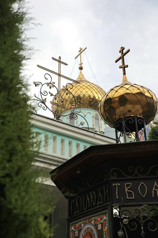 Митрополит Викентий: «Когда мы приходим в церковь, мы облачаемся в благодать Божию»